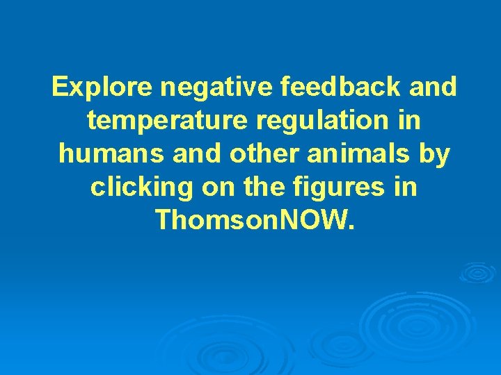 Explore negative feedback and temperature regulation in humans and other animals by clicking on