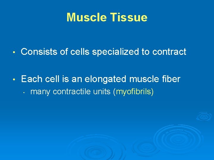 Muscle Tissue • Consists of cells specialized to contract • Each cell is an