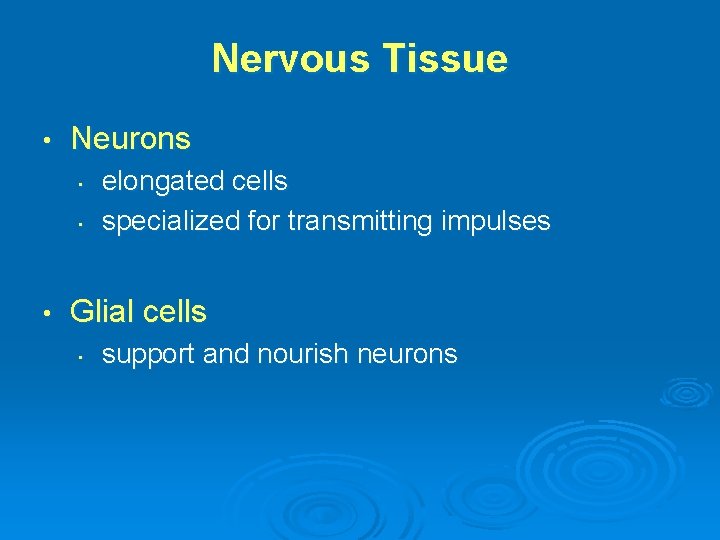 Nervous Tissue • Neurons • • • elongated cells specialized for transmitting impulses Glial