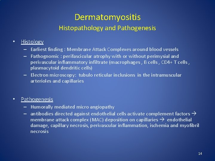 Dermatomyositis Histopathology and Pathogenesis • Histology – Earliest finding : Membrane Attack Complexes around Dermatomyositis Histopathology and Pathogenesis • Histology – Earliest finding : Membrane Attack Complexes around