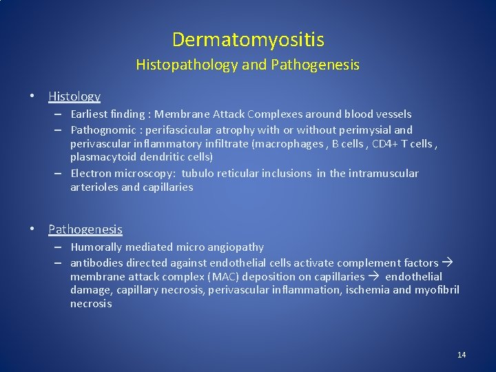 Dermatomyositis Histopathology and Pathogenesis • Histology – Earliest finding : Membrane Attack Complexes around