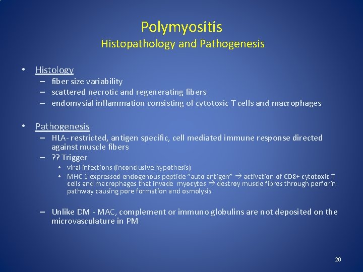 Polymyositis Histopathology and Pathogenesis • Histology – fiber size variability – scattered necrotic and