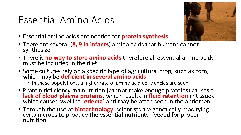 Essential Amino Acids • Essential amino acids are needed for protein synthesis • There