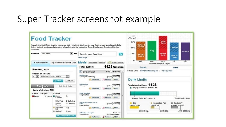 Super Tracker screenshot example 