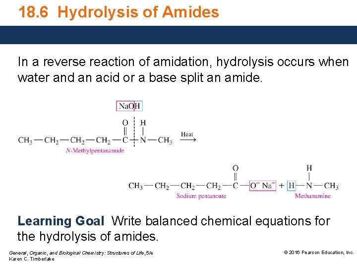 18. 6 Hydrolysis of Amides In a reverse reaction of amidation, hydrolysis occurs when
