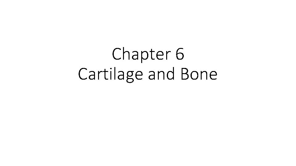 Chapter 6 Cartilage and Bone 