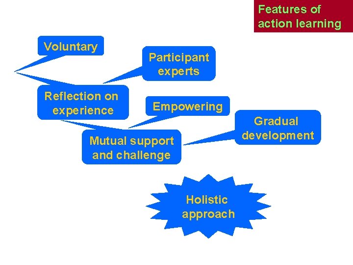Features of action learning Voluntary Reflection on experience Participant experts Empowering Gradual development Mutual Features of action learning Voluntary Reflection on experience Participant experts Empowering Gradual development Mutual