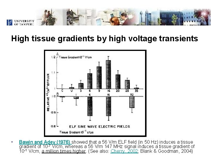 High tissue gradients by high voltage transients • Bawin and Adey (1976) showed that