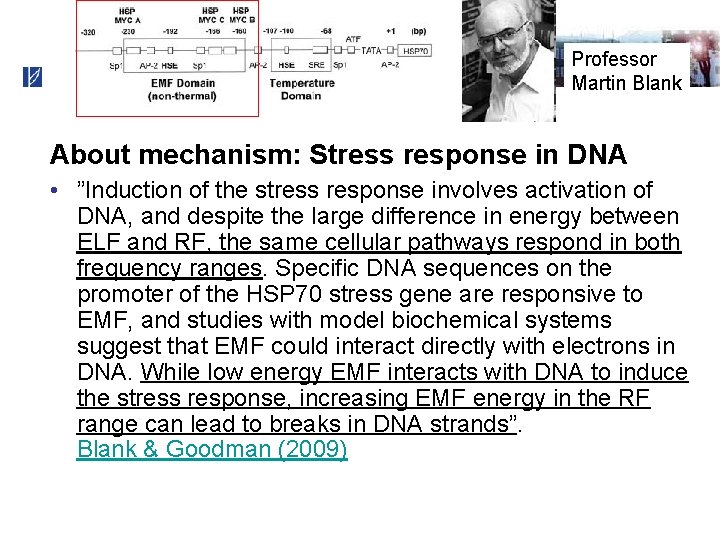 Professor Martin Blank About mechanism: Stress response in DNA • ”Induction of the stress