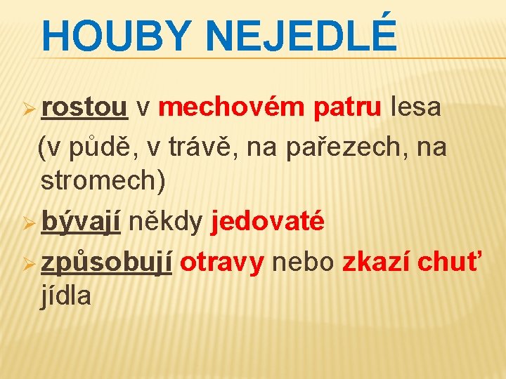 HOUBY NEJEDLÉ Ø rostou v mechovém patru lesa (v půdě, v trávě, na pařezech,