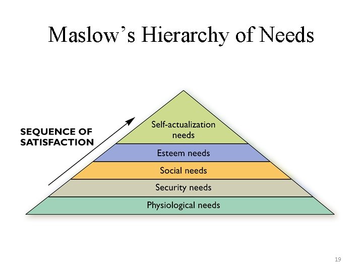Maslow’s Hierarchy of Needs 19 