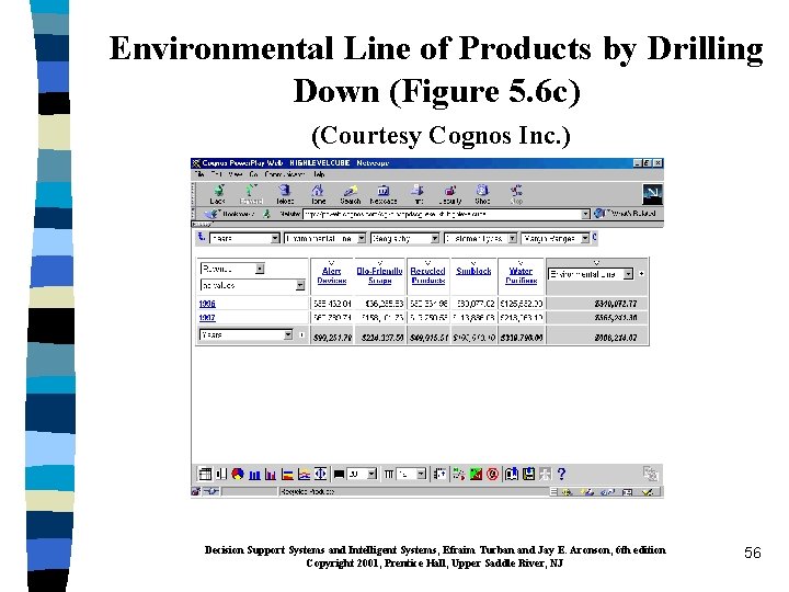 Environmental Line of Products by Drilling Down (Figure 5. 6 c) (Courtesy Cognos Inc.