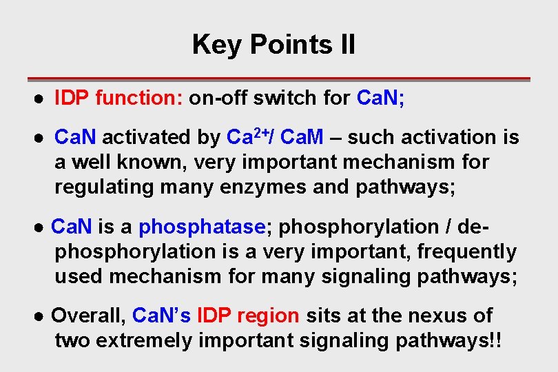 Key Points II ● IDP function: on-off switch for Ca. N; ● Ca. N