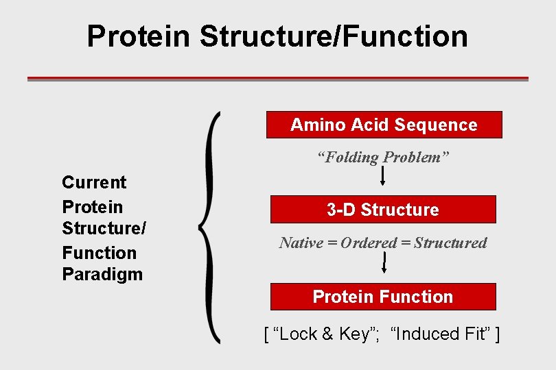 Protein Structure/Function Amino Acid Sequence “Folding Problem” Current Protein Structure/ Function Paradigm 3 -D