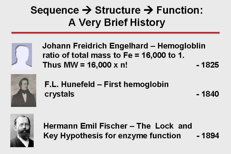 Sequence Structure Function: A Very Brief History Johann Freidrich Engelhard – Hemogloblin ratio of