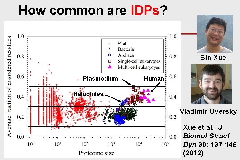 How common are IDPs? Bin Xue Plasmodium Human Halophiles Vladimir Uversky Xue et al.