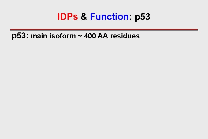 IDPs & Function: p 53: main isoform ~ 400 AA residues 