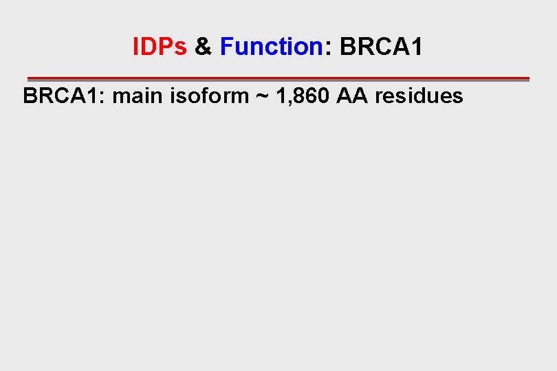 IDPs & Function: BRCA 1: main isoform ~ 1, 860 AA residues 