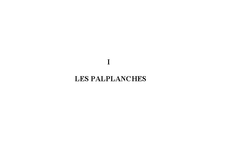 I LES PALPLANCHES 