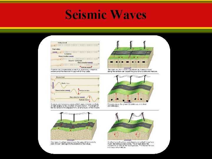 Seismic Waves 