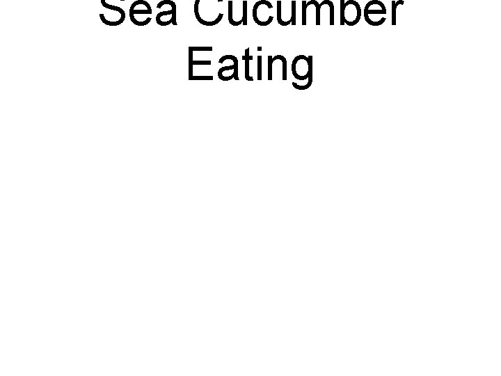 Sea Cucumber Eating 