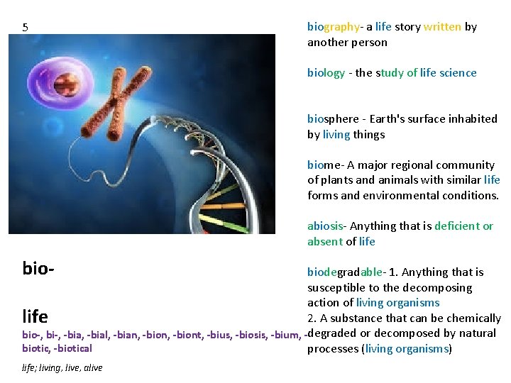 5 biography- a life story written by another person biology - the study of