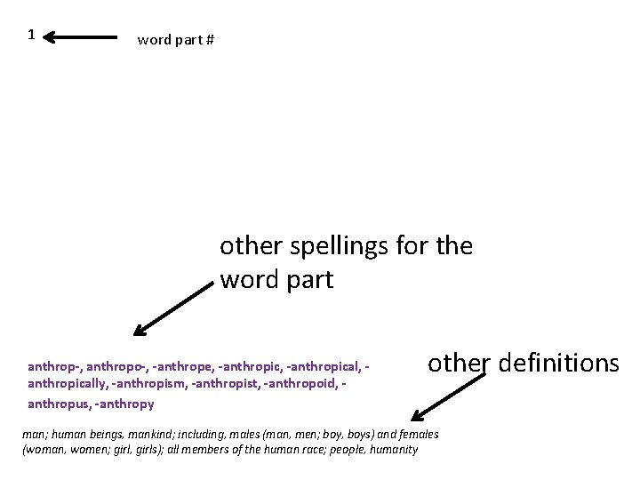 1 word part # other spellings for the word part anthropo- human being anthrop-,
