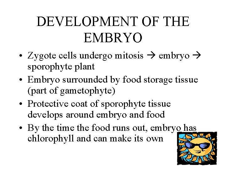 DEVELOPMENT OF THE EMBRYO • Zygote cells undergo mitosis embryo sporophyte plant • Embryo DEVELOPMENT OF THE EMBRYO • Zygote cells undergo mitosis embryo sporophyte plant • Embryo