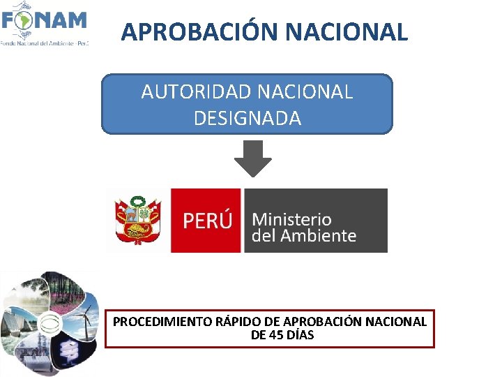 APROBACIÓN NACIONAL AUTORIDAD NACIONAL DESIGNADA PROCEDIMIENTO RÁPIDO DE APROBACIÓN NACIONAL DE 45 DÍAS 
