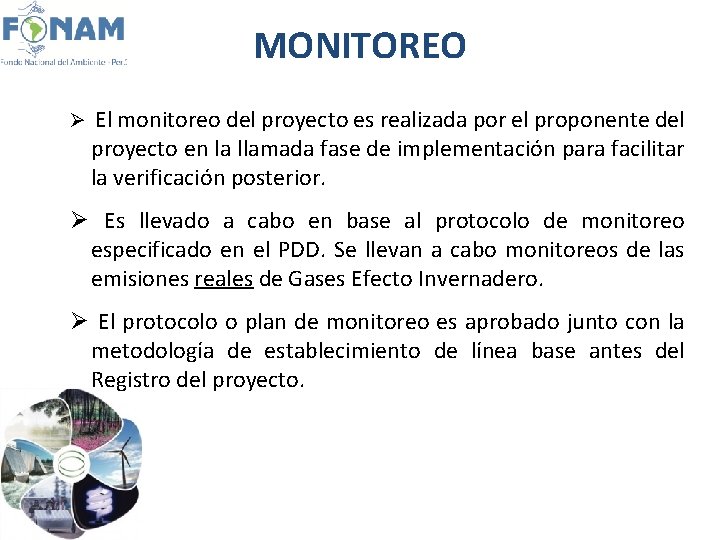 MONITOREO Ø El monitoreo del proyecto es realizada por el proponente del proyecto en