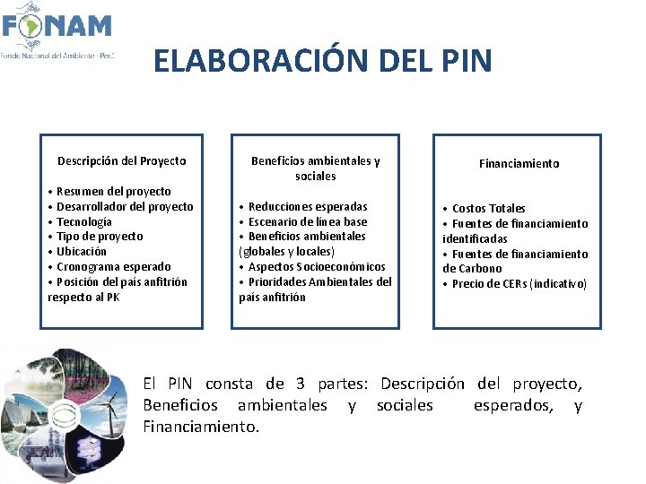 ELABORACIÓN DEL PIN Descripción del Proyecto • Resumen del proyecto • Desarrollador del proyecto