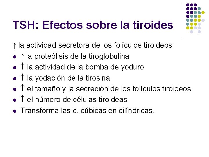 TSH: Efectos sobre la tiroides ↑ la actividad secretora de los folículos tiroideos: l