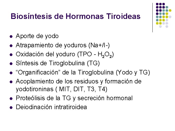 Biosíntesis de Hormonas Tiroideas l l l l Aporte de yodo Atrapamiento de yoduros