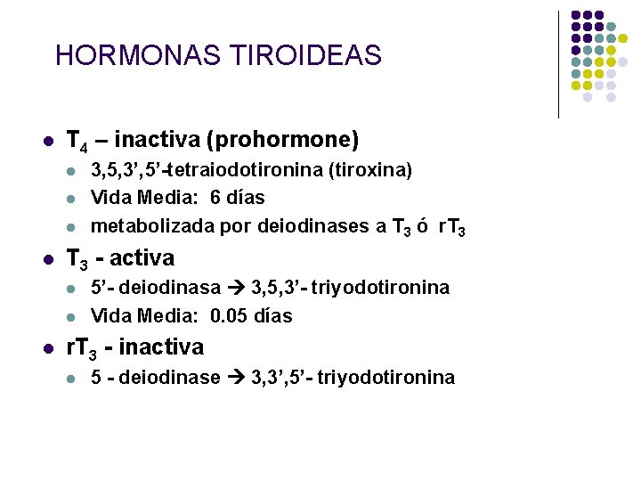 HORMONAS TIROIDEAS l T 4 – inactiva (prohormone) l l T 3 - activa