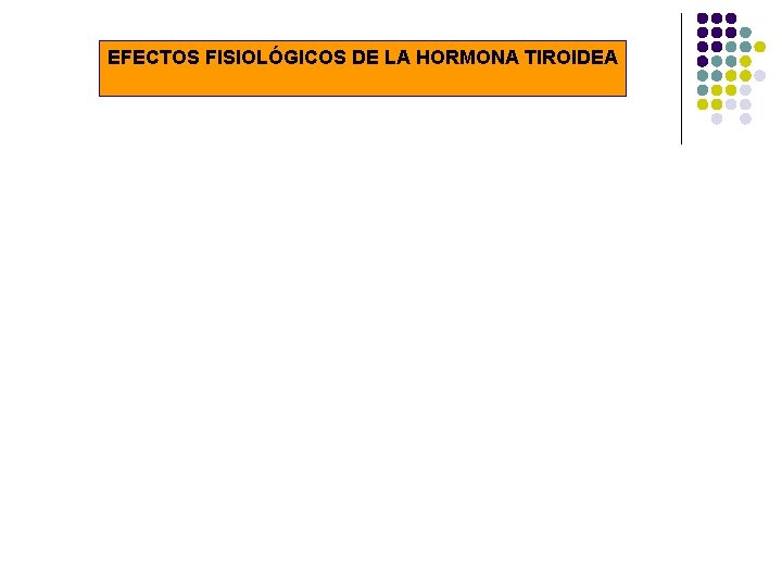EFECTOS FISIOLÓGICOS DE LA HORMONA TIROIDEA 