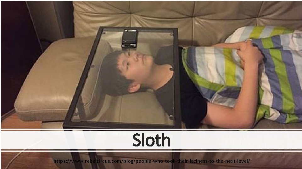 Sloth https: //www. rebelcircus. com/blog/people-who-took-their-laziness-to-the-next-level/ 