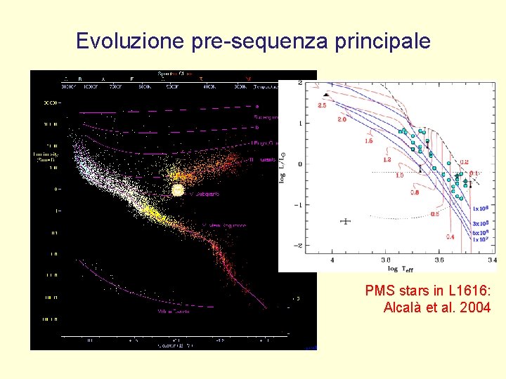 Evoluzione pre-sequenza principale Ø Le stelle derivano la loro energia dalla contrazione gravitazionale Ø