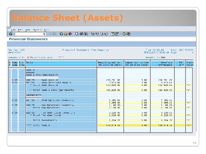 Balance Sheet (Assets) 46 