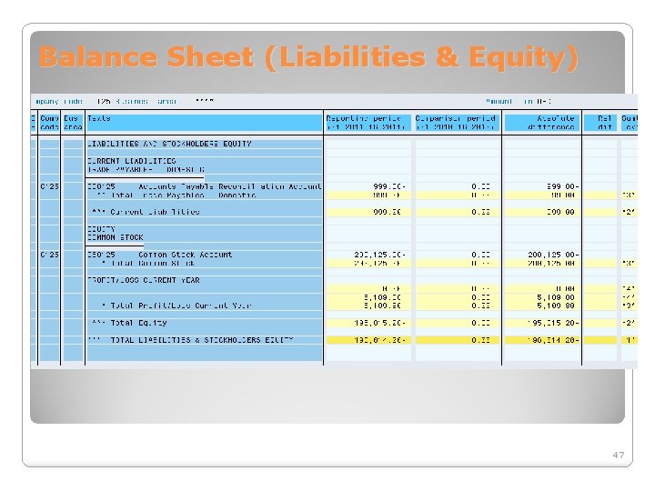 Balance Sheet (Liabilities & Equity) 47 