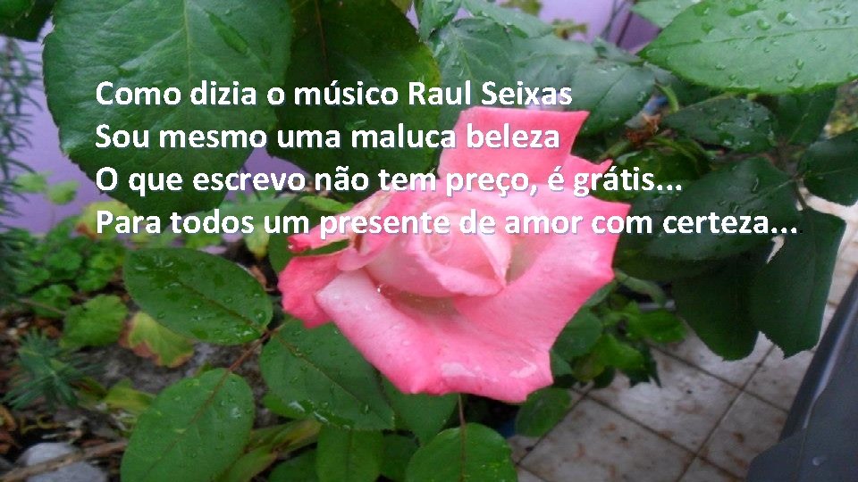 Como dizia o músico Raul Seixas Sou mesmo uma maluca beleza O que escrevo