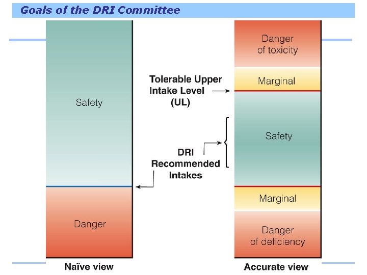 Goals of the DRI Committee 