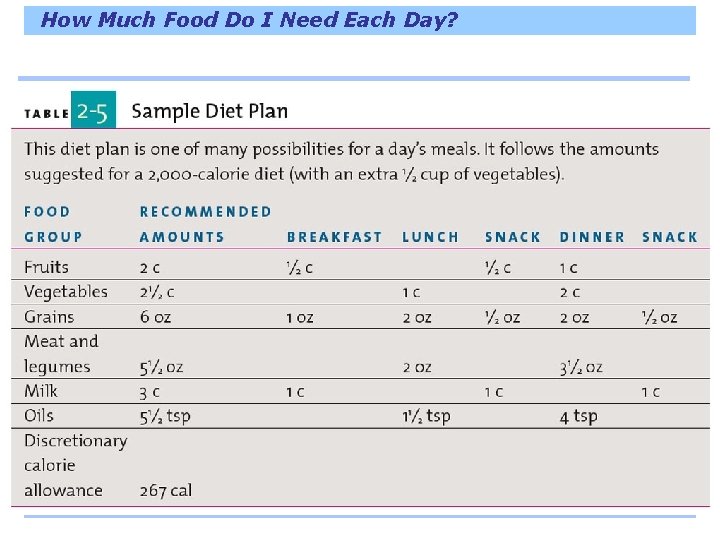 How Much Food Do I Need Each Day? 