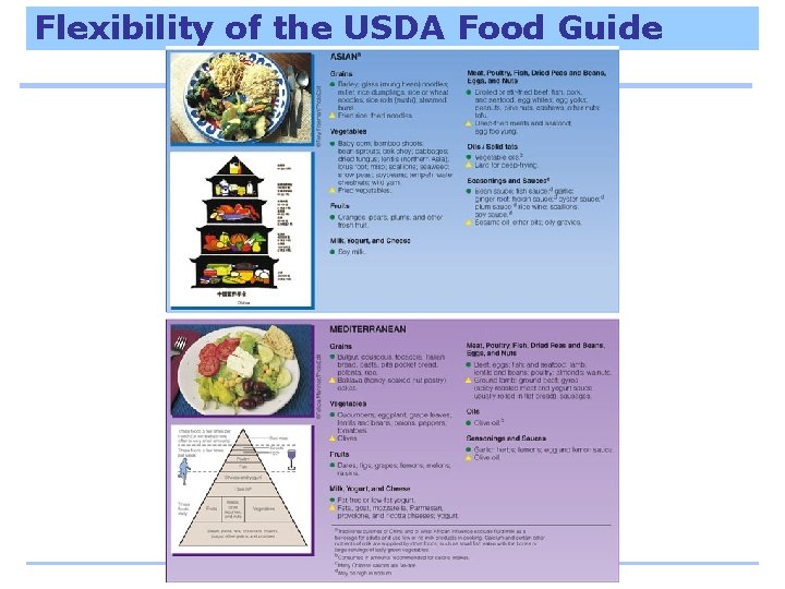 Flexibility of the USDA Food Guide 