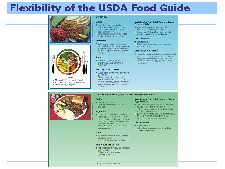 Flexibility of the USDA Food Guide 