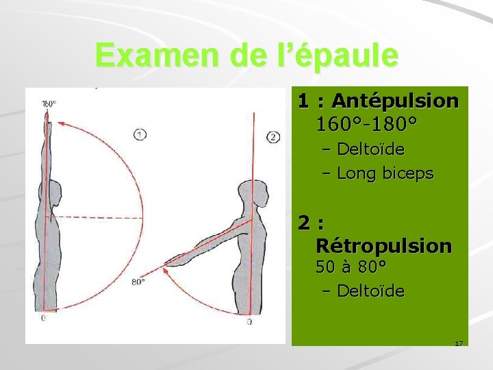 Examen de l’épaule 1 : Antépulsion 160°-180° – Deltoïde – Long biceps 2 :