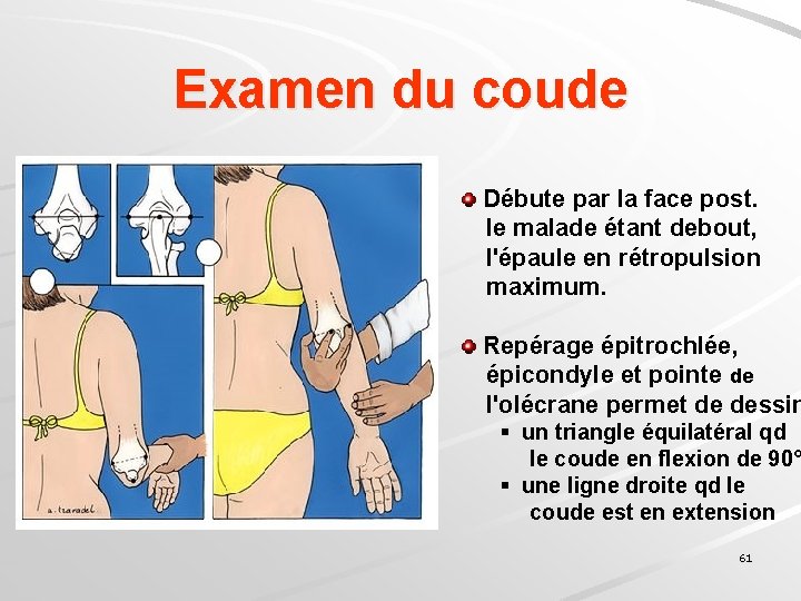 Examen du coude Débute par la face post. le malade étant debout, l'épaule en