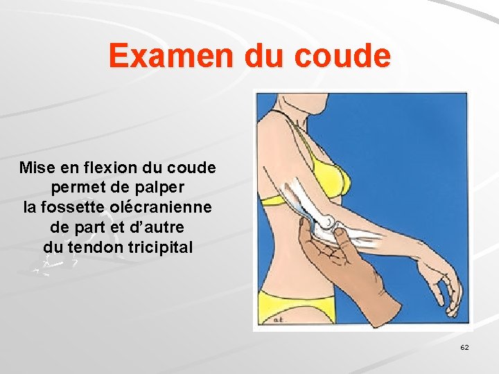 Examen du coude Mise en flexion du coude permet de palper la fossette olécranienne
