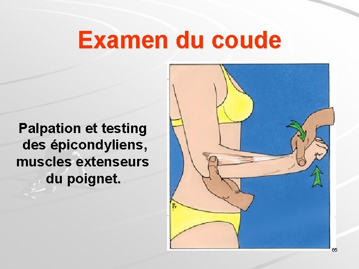 Examen du coude Palpation et testing des épicondyliens, muscles extenseurs du poignet. 65 