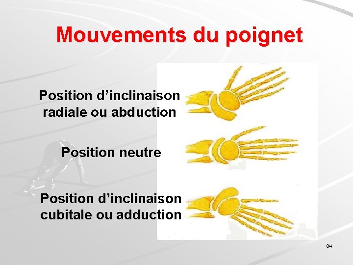 Mouvements du poignet Position d’inclinaison radiale ou abduction Position neutre Position d’inclinaison cubitale ou