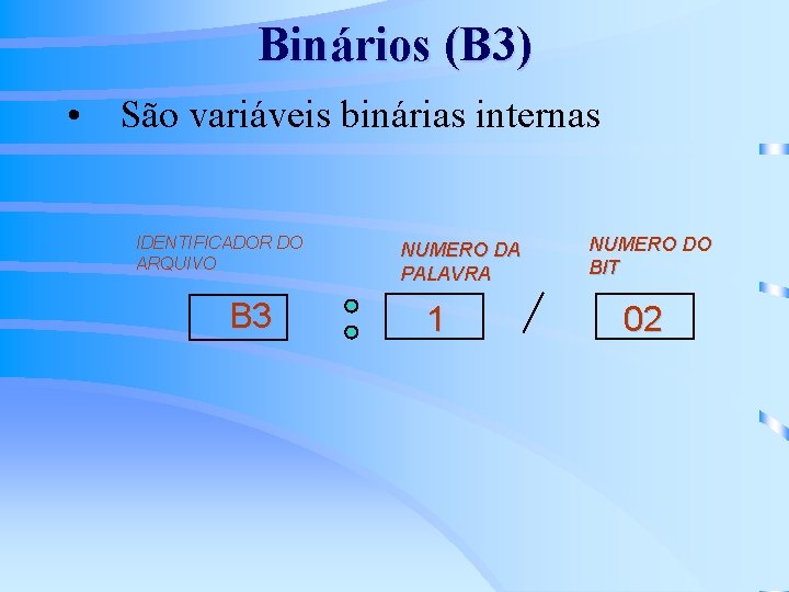 Binários (B 3) • São variáveis binárias internas IDENTIFICADOR DO ARQUIVO B 3 NUMERO